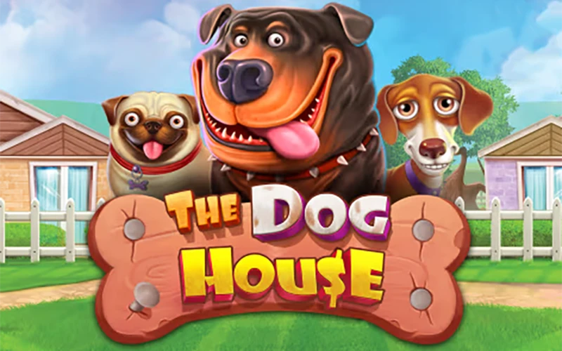 Play the exciting slot The Dog House at Babu88.