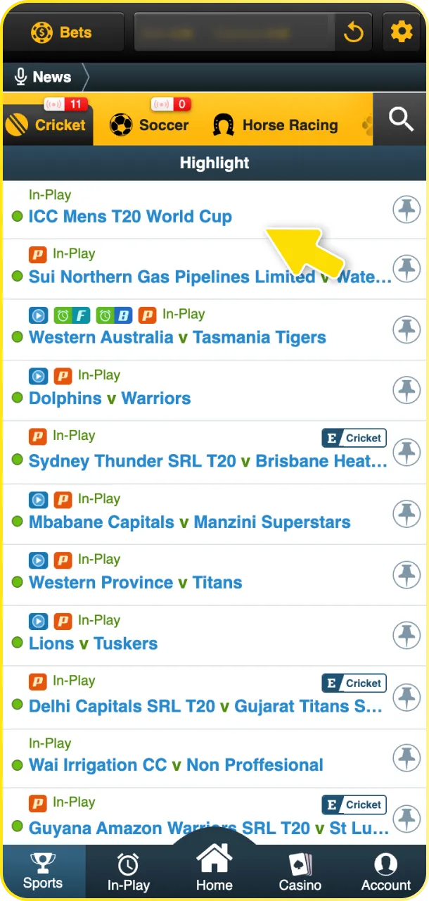 Browse the sportsbook to choose a league and match from the extensive Babu88 cricket market.