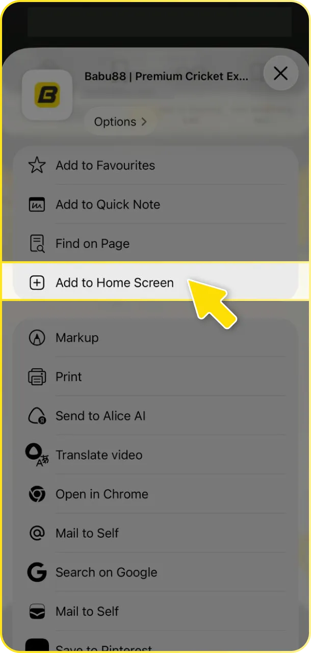 Follow the guide to add the Babu88 ice hockey app to your home screen.