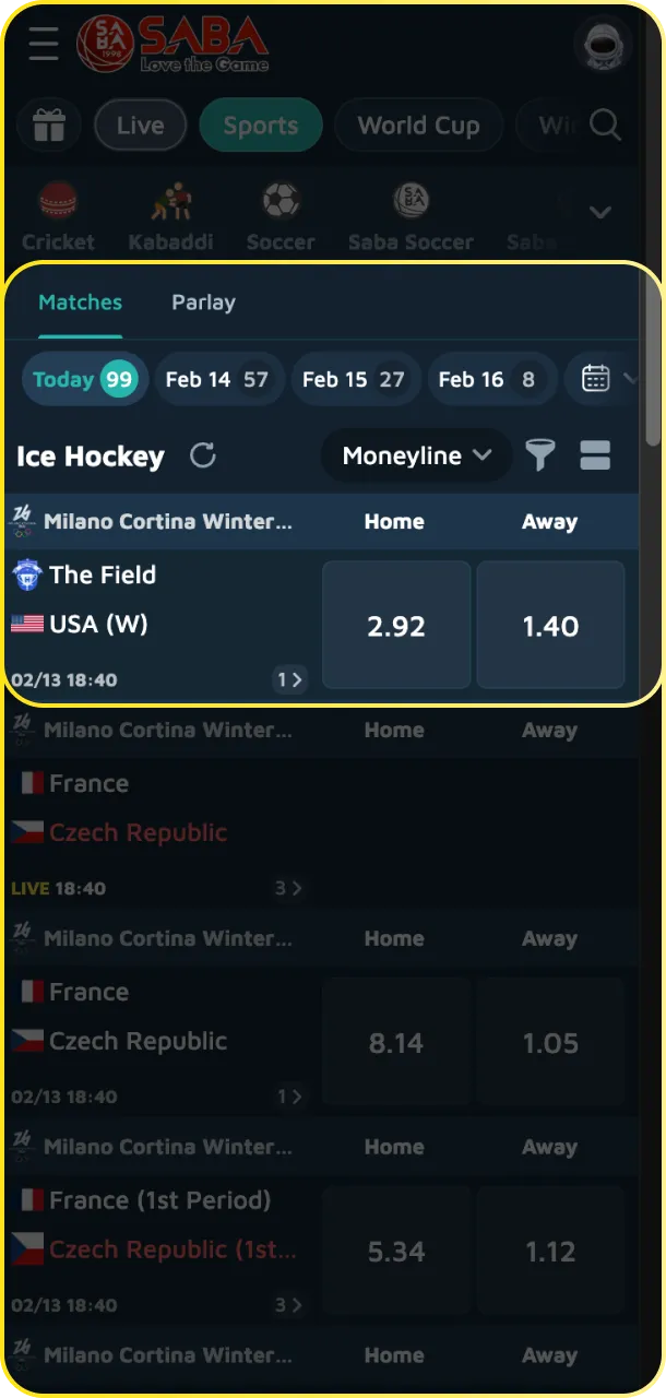 Select an ice hockey market like moneyline or puck line at Babu88.